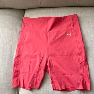 Tracksmith  Allston Medium Shorts